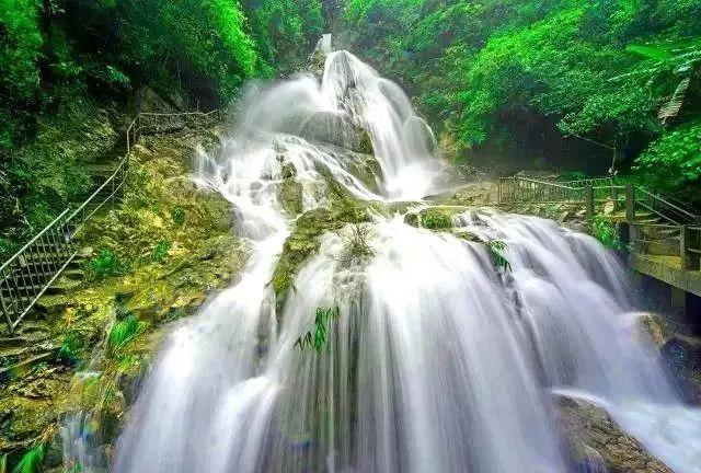 巴西球员莱昂纳多返回中国，他没有出现在泰山亚冠报名名单中